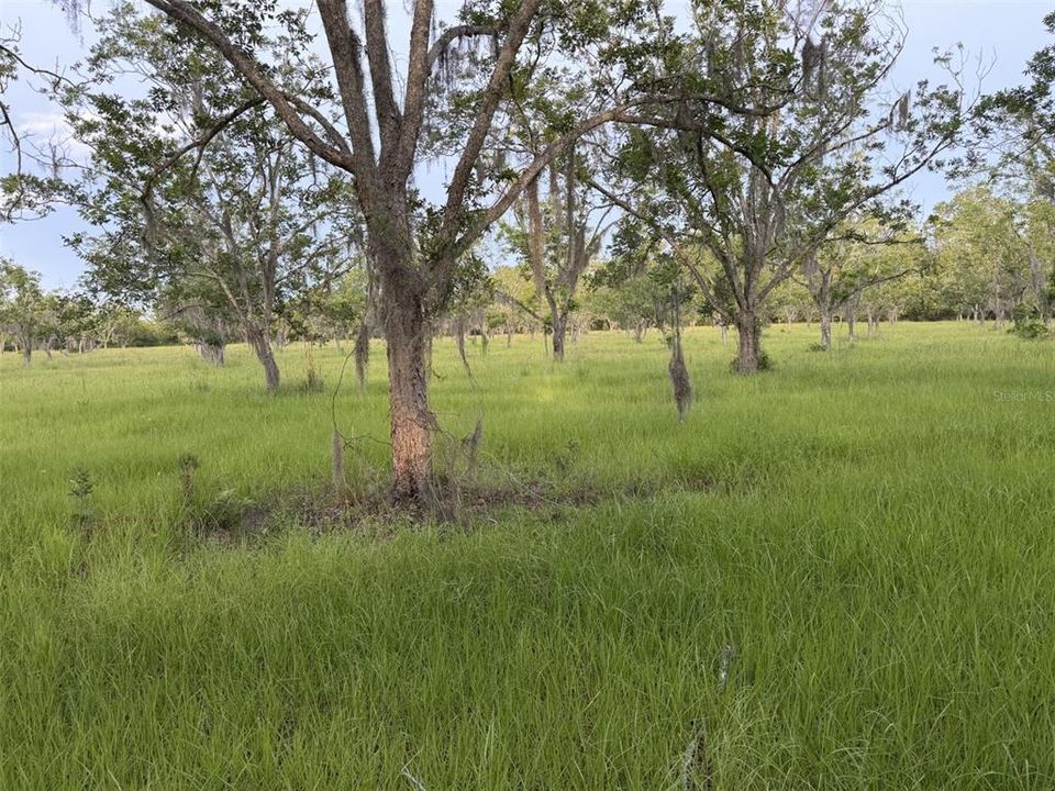 На продажу: $499,999 (30.00 acres)