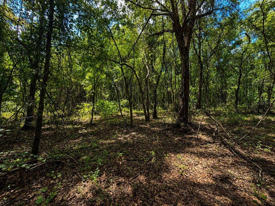 En Venta: $72,500 (6.80 acres)