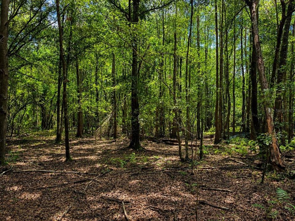 En Venta: $72,500 (6.80 acres)