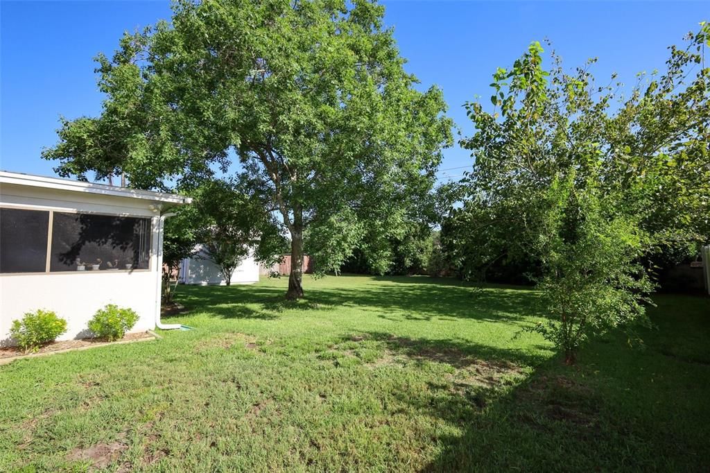 На продажу: $380,000 (3 спален, 2 ванн, 1508 Квадратных фут)
