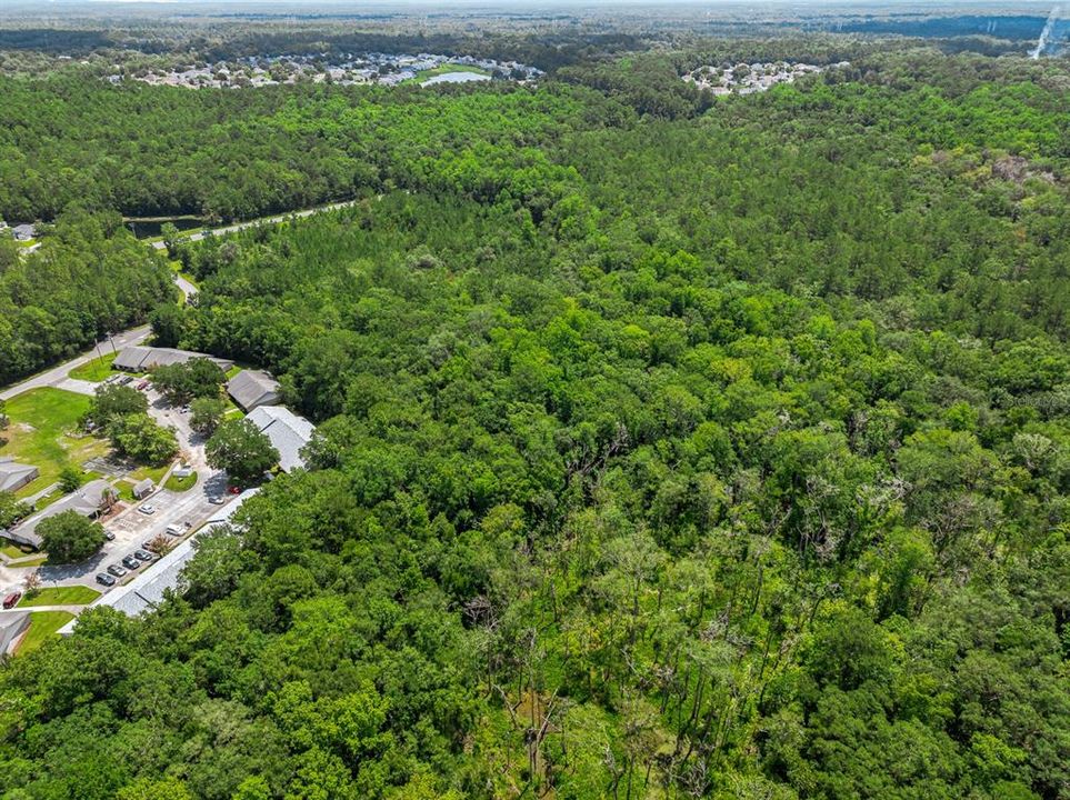 For Sale: $345,000 (11.00 acres)