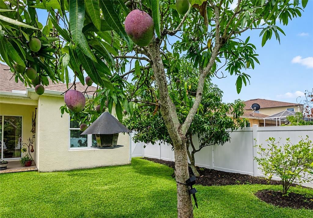 For Sale: $515,000 (3 beds, 2 baths, 2002 Square Feet)