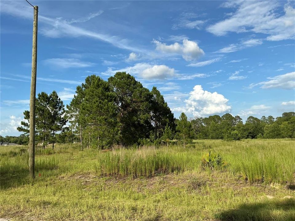 Activo con contrato: $14,000 (0.23 acres)