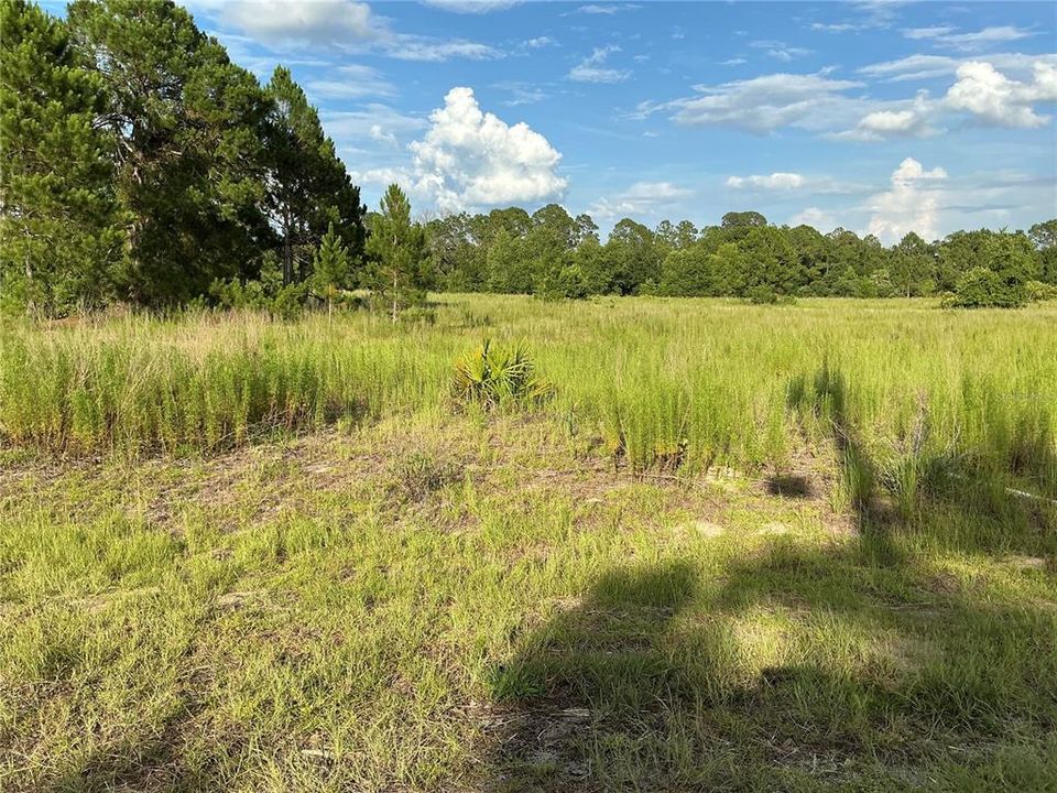 Activo con contrato: $14,000 (0.23 acres)