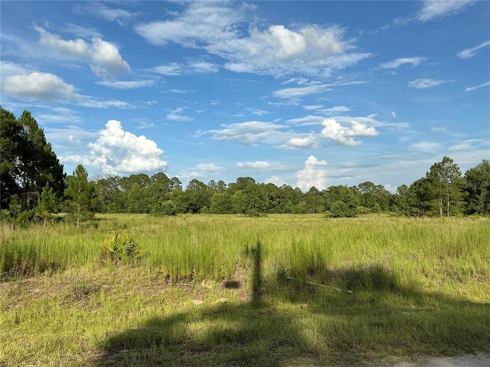 Activo con contrato: $14,000 (0.23 acres)