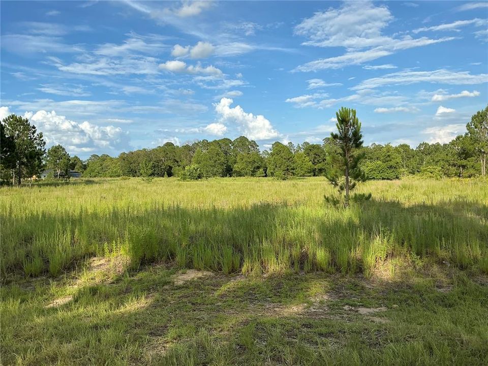 Под контрактом: $14,000 (0.23 acres)