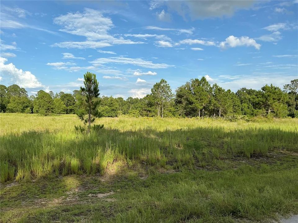 Под контрактом: $14,000 (0.23 acres)