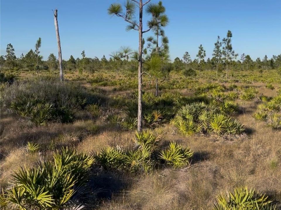 待售: $10,000 (2.49 acres)