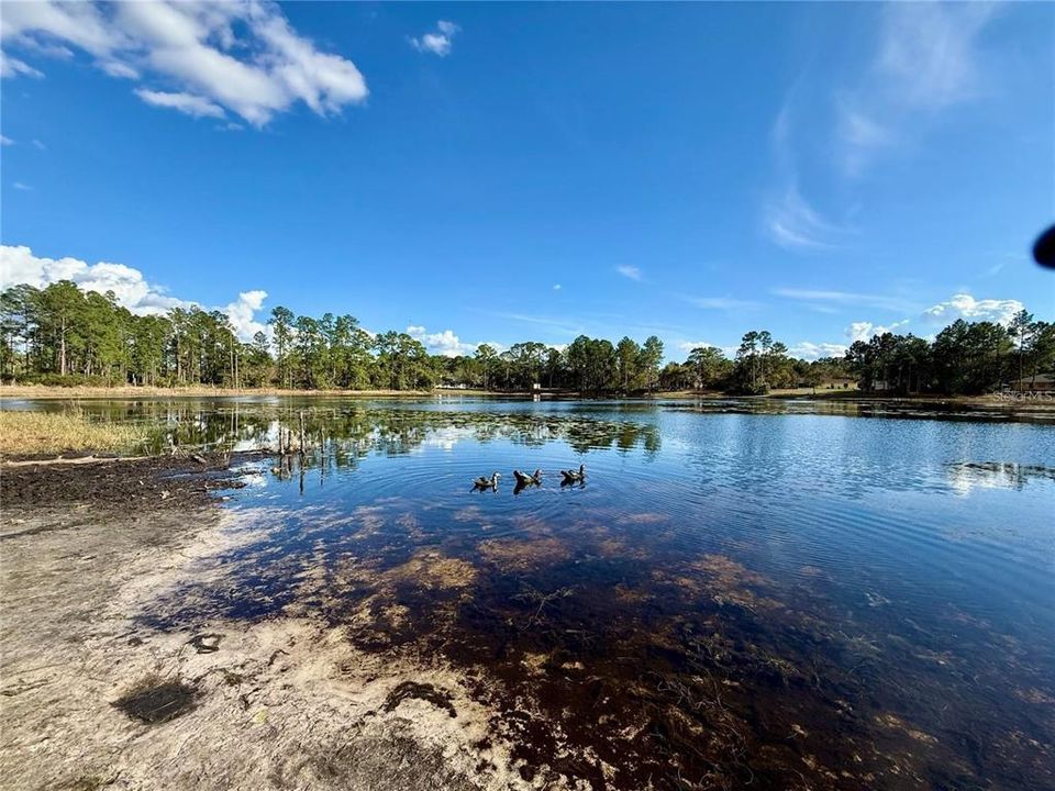 En Venta: $515,000 (4 camas, 2 baños, 2197 Pies cuadrados)