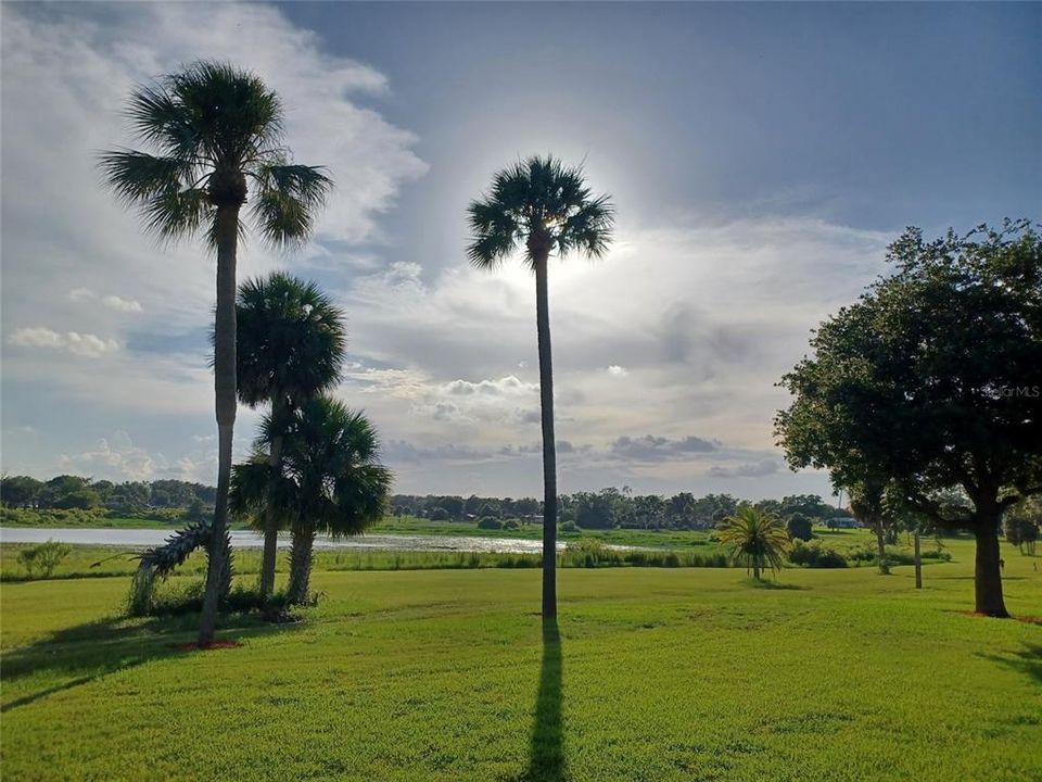 For Sale: $239,900 (2 beds, 2 baths, 980 Square Feet)