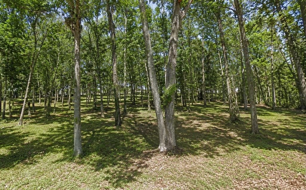На продажу: $45,000 (0.40 acres)