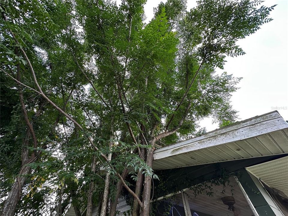 En Venta: $74,990 (3 camas, 1 baños, 1143 Pies cuadrados)