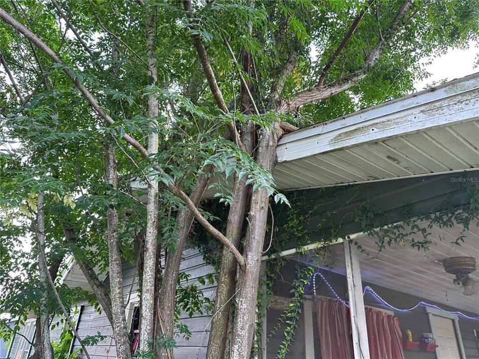 En Venta: $74,990 (3 camas, 1 baños, 1143 Pies cuadrados)