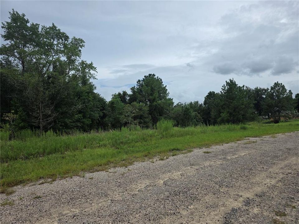 待售: $16,500 (0.31 acres)