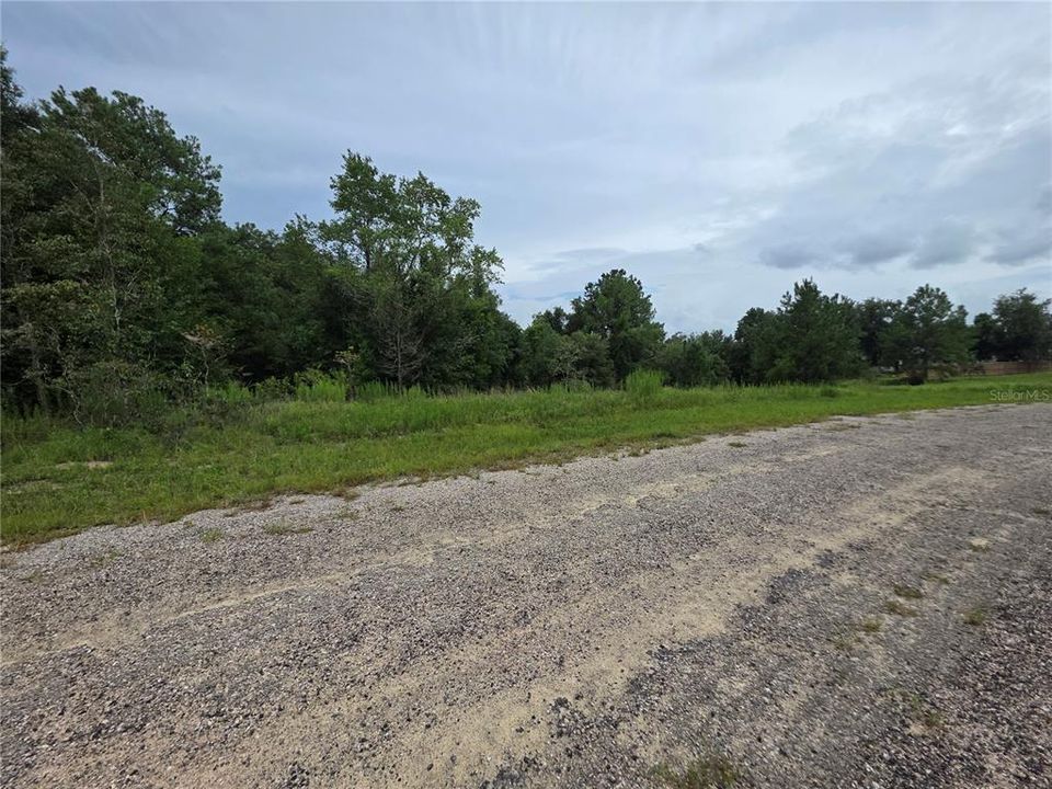 待售: $16,500 (0.31 acres)