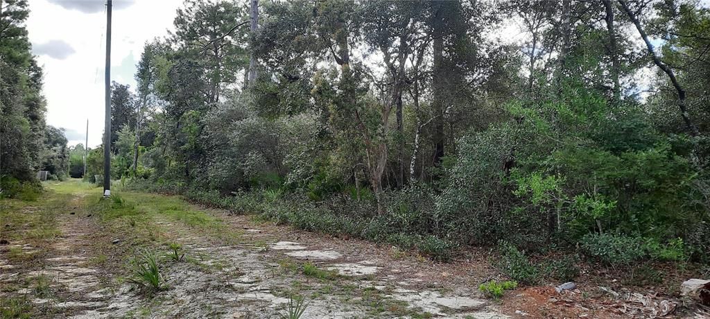 На продажу: $14,900 (0.41 acres)