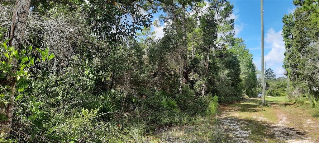 На продажу: $14,900 (0.41 acres)