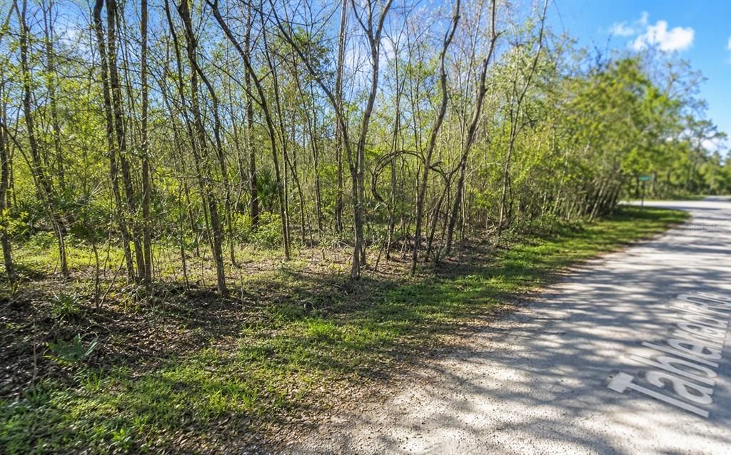 待售: $55,000 (0.23 acres)