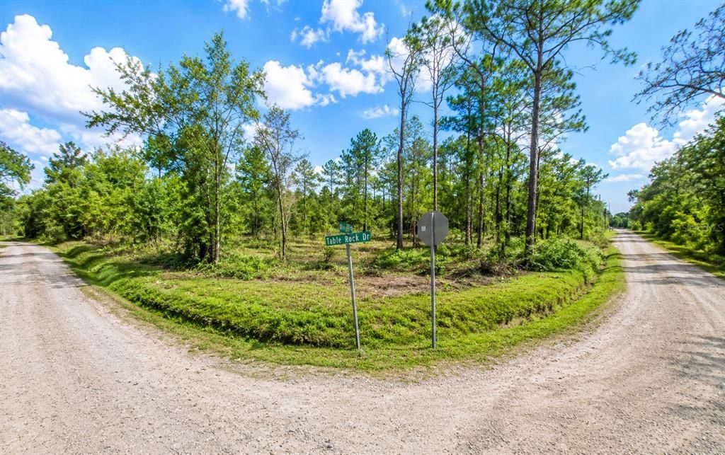 待售: $55,000 (0.23 acres)