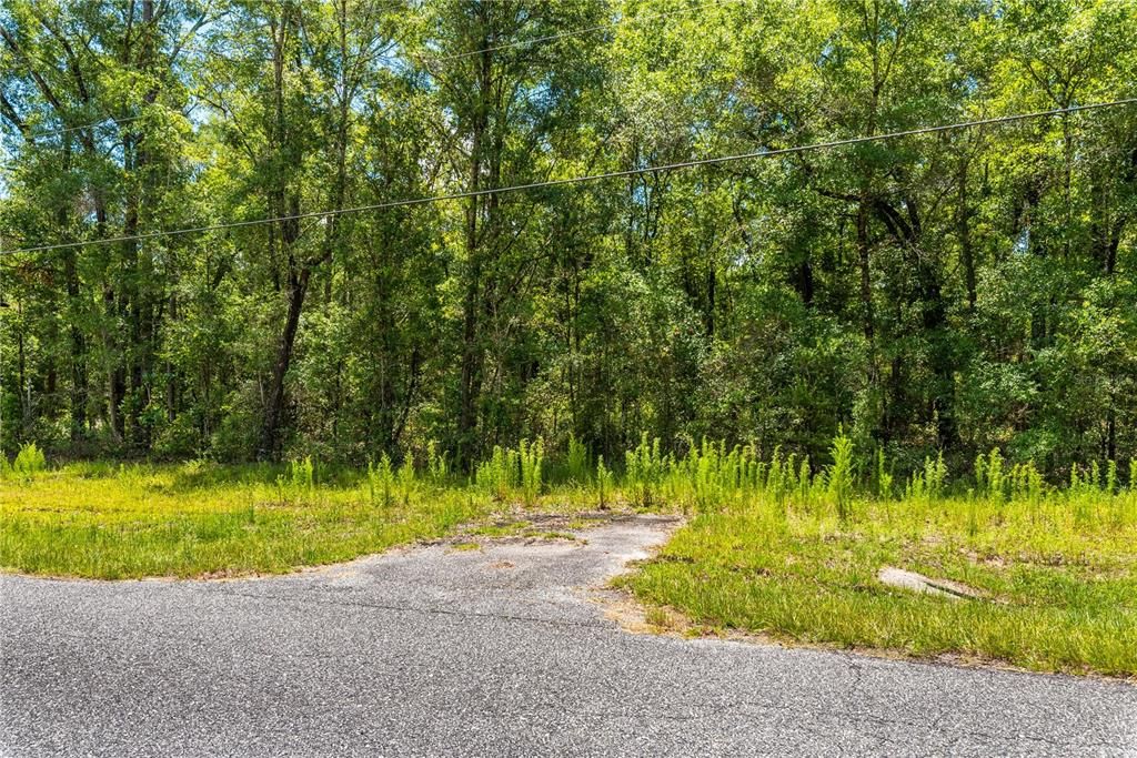 For Sale: $115,000 (5.01 acres)
