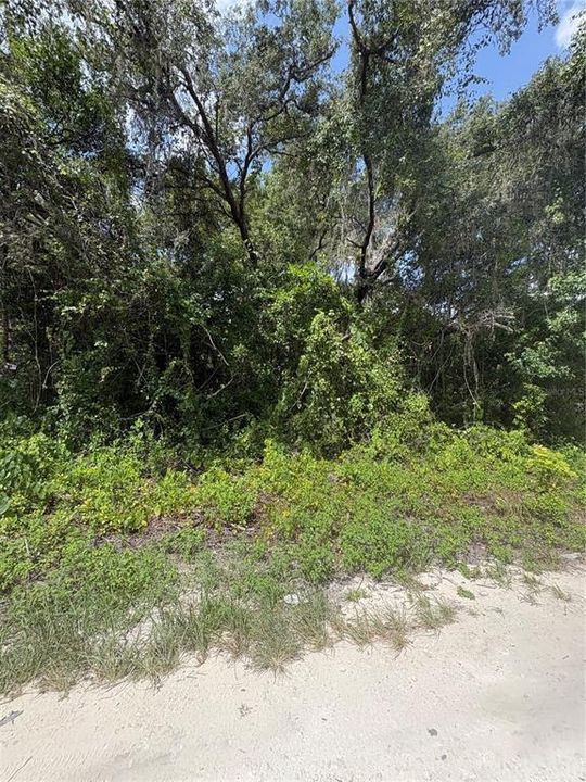 На продажу: $20,000 (0.18 acres)