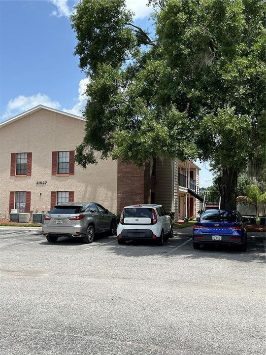 For Rent: $1,400 (2 beds, 1 baths, 800 Square Feet)