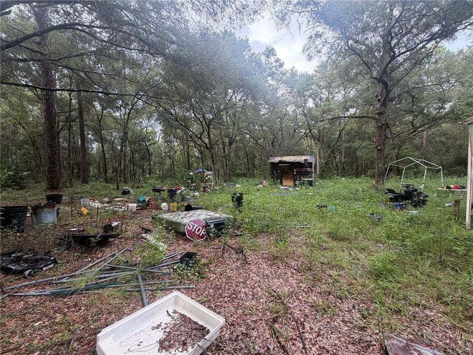 Activo con contrato: $37,500 (1.25 acres)