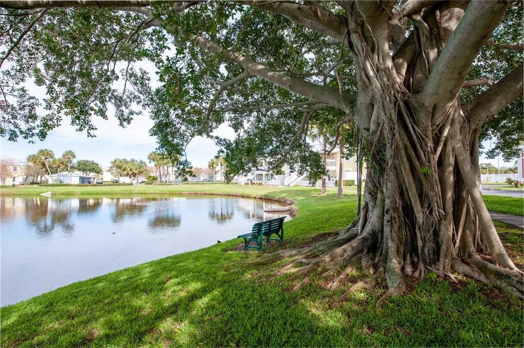 For Rent: $1,900 (1 beds, 1 baths, 823 Square Feet)