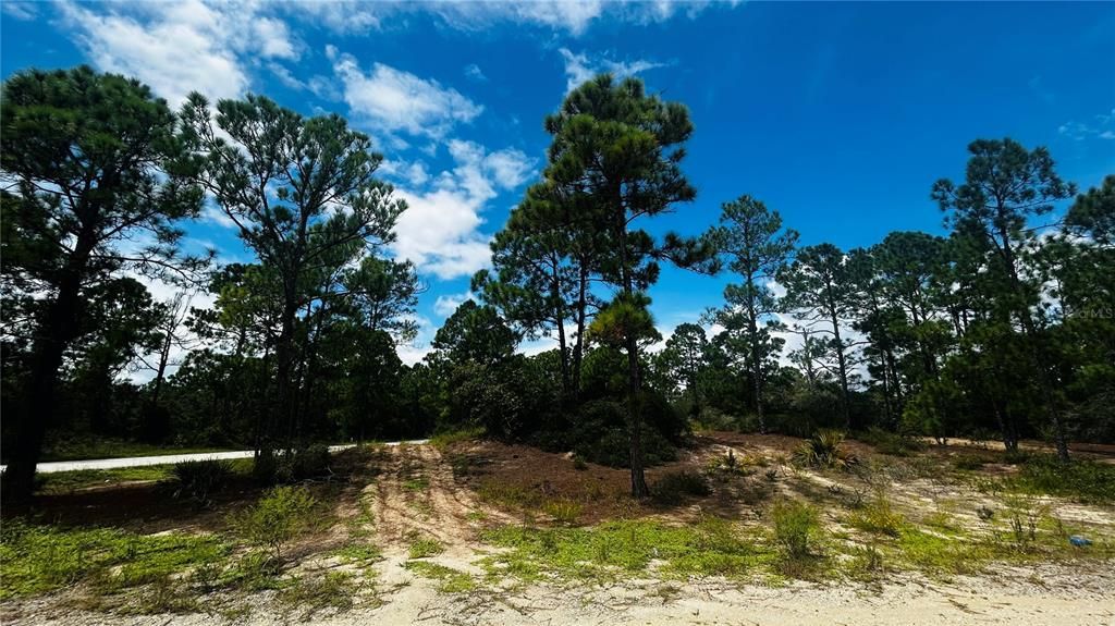 For Sale: $12,000 (0.28 acres)