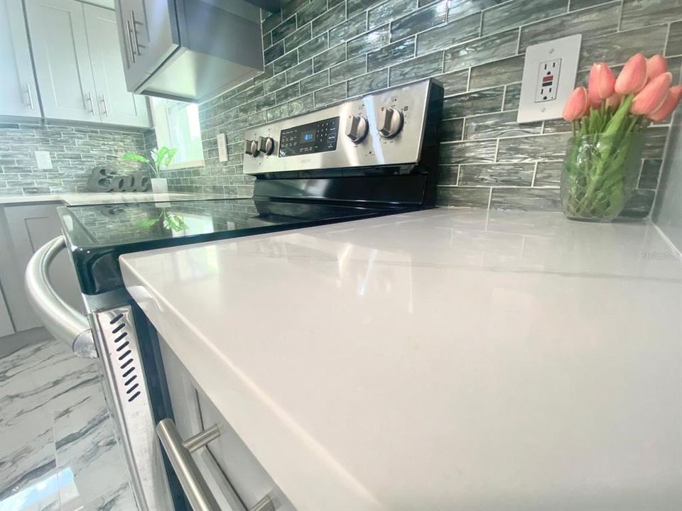 Под контрактом: $535,000 (5 спален, 3 ванн, 1596 Квадратных фут)