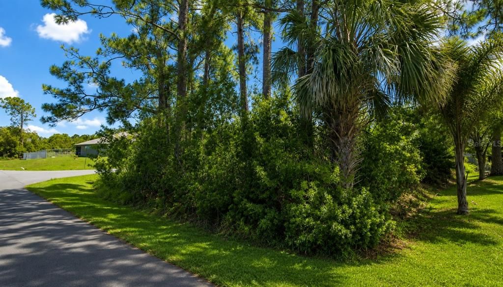 На продажу: $40,000 (0.23 acres)
