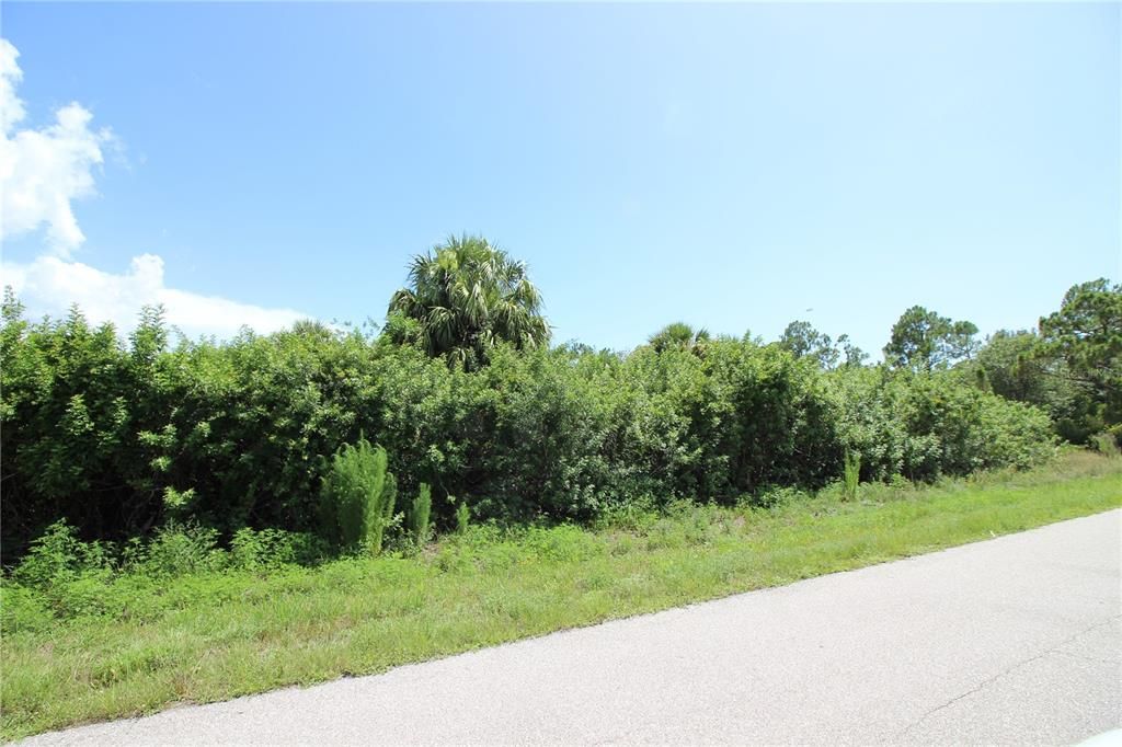 For Sale: $19,500 (0.18 acres)