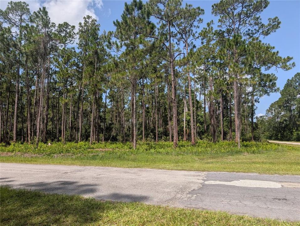 En Venta: $18,900 (0.55 acres)