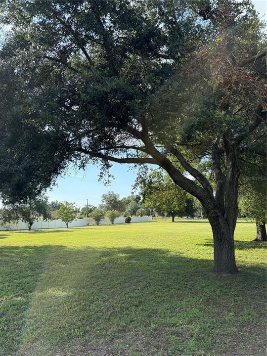 Active With Contract: $165,000 (1.04 acres)