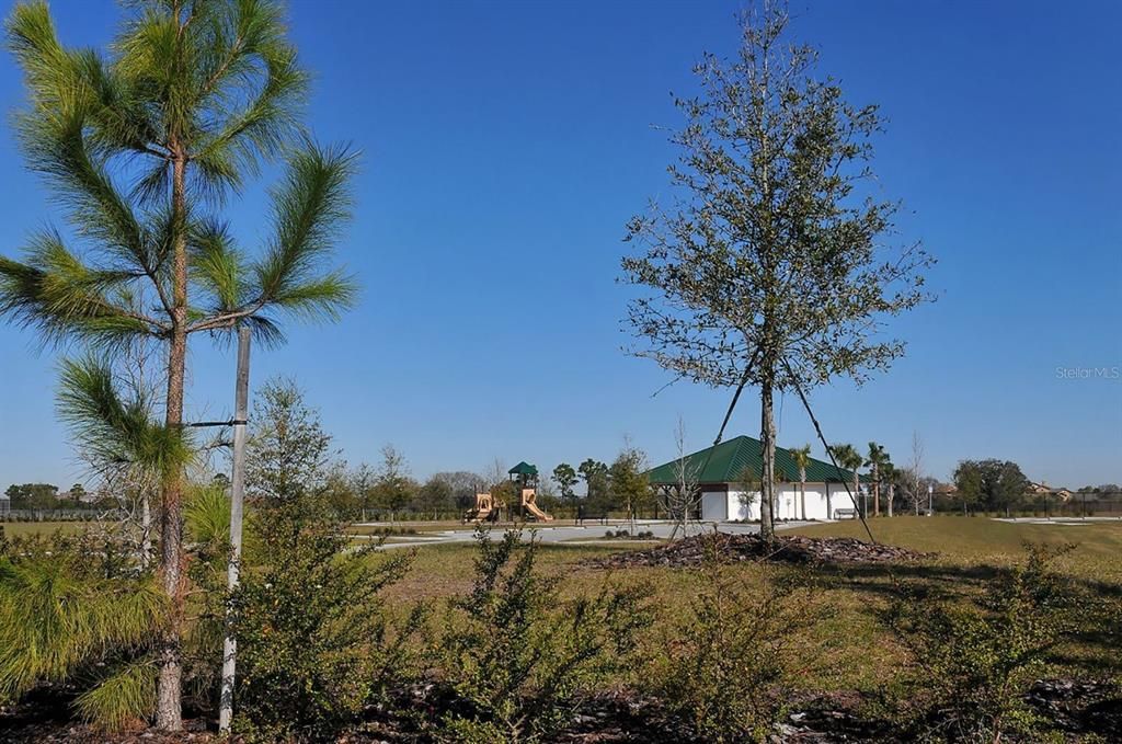 Activo con contrato: $875,000 (3 camas, 2 baños, 2228 Pies cuadrados)