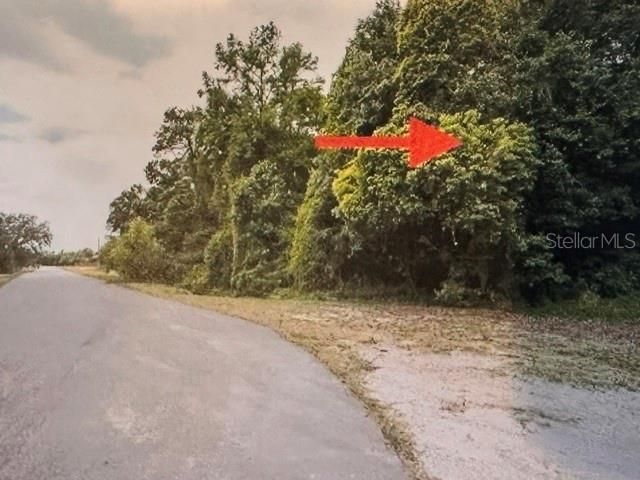 For Sale: $300,000 (6.23 acres)