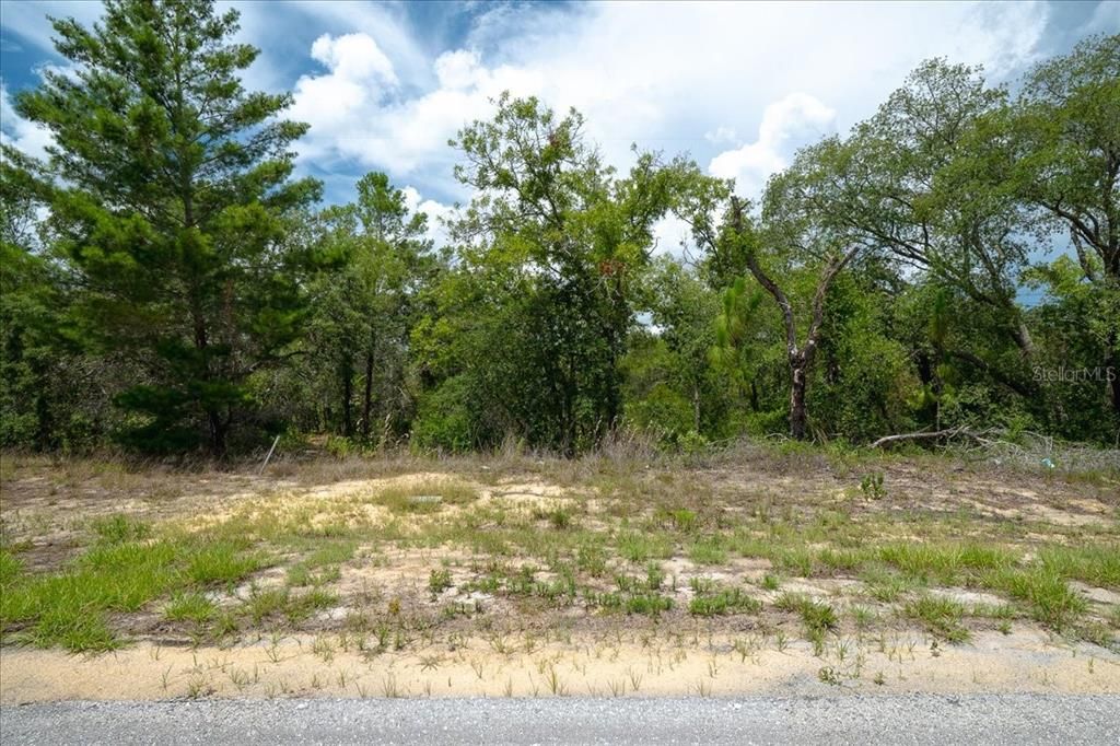 待售: $19,900 (0.23 acres)