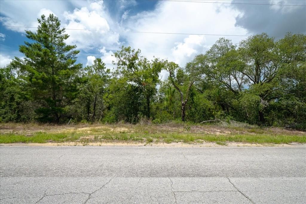 待售: $19,900 (0.23 acres)