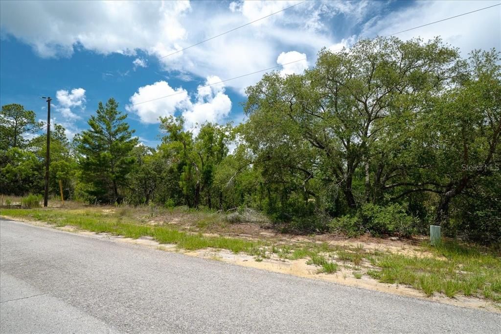 待售: $19,900 (0.23 acres)