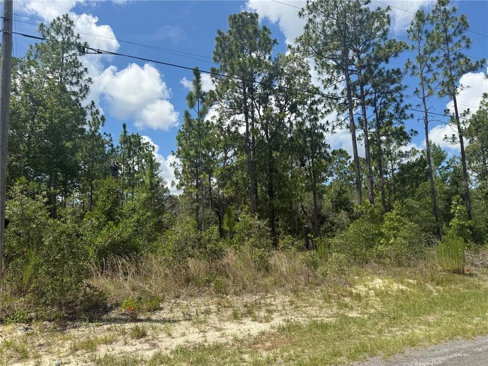 For Sale: $22,000 (0.23 acres)