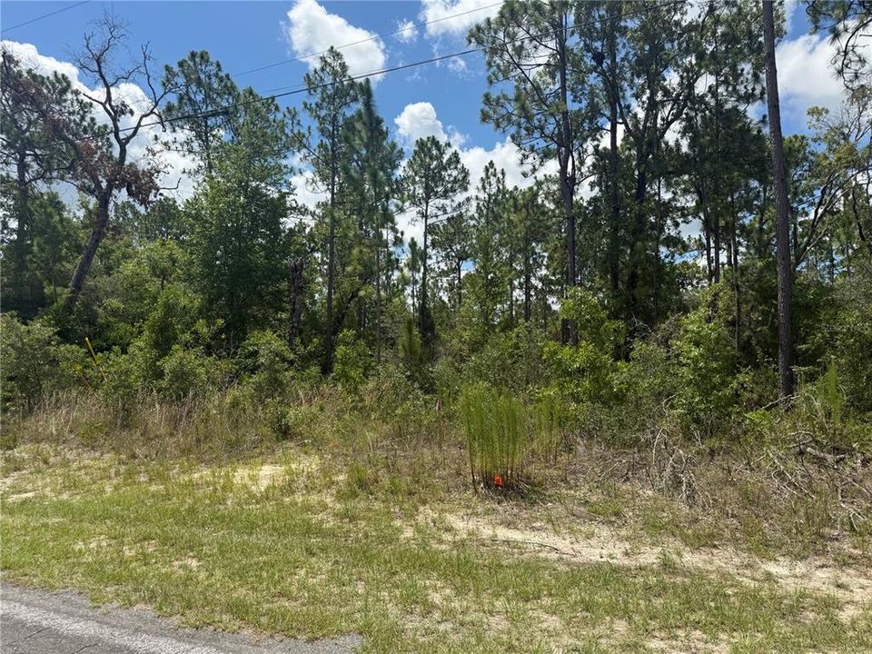 For Sale: $22,000 (0.23 acres)