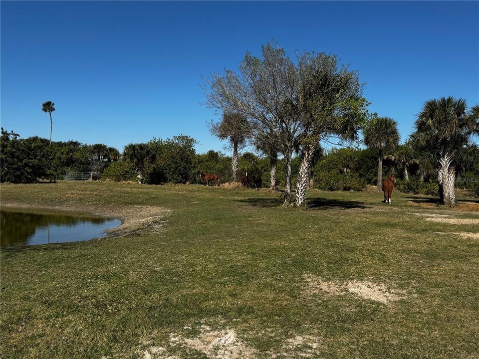 На продажу: $599,000 (10.00 acres)