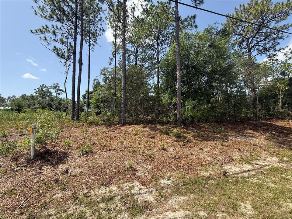 En Venta: $22,000 (0.23 acres)