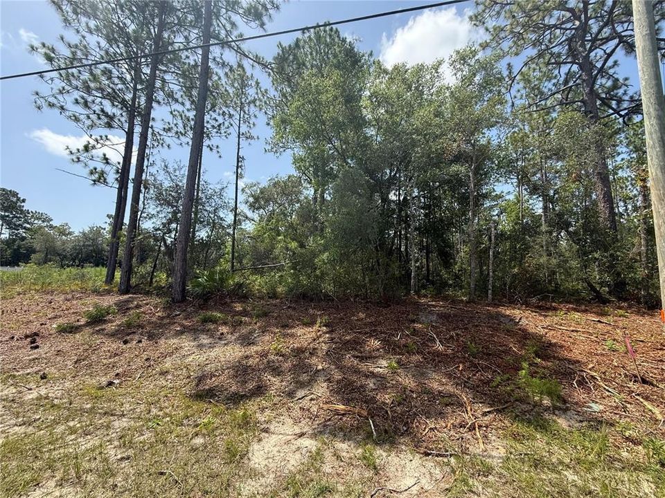 En Venta: $22,000 (0.23 acres)