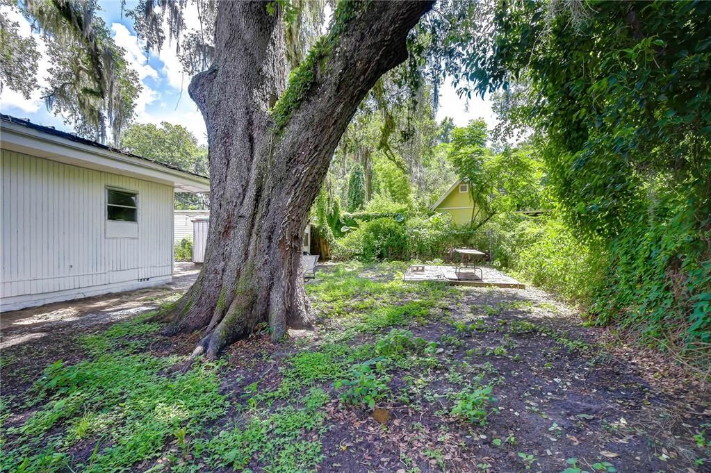 For Sale: $179,000 (2 beds, 1 baths, 674 Square Feet)