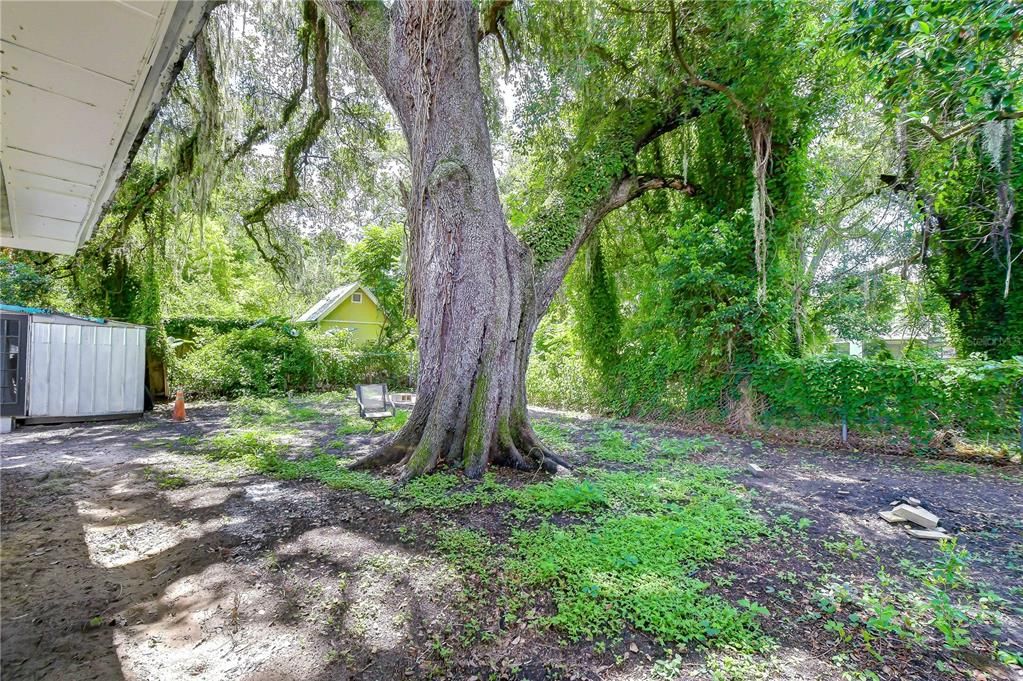 For Sale: $179,000 (2 beds, 1 baths, 674 Square Feet)