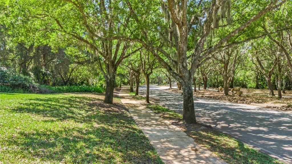 En Venta: $329,999 (3 camas, 2 baños, 1684 Pies cuadrados)