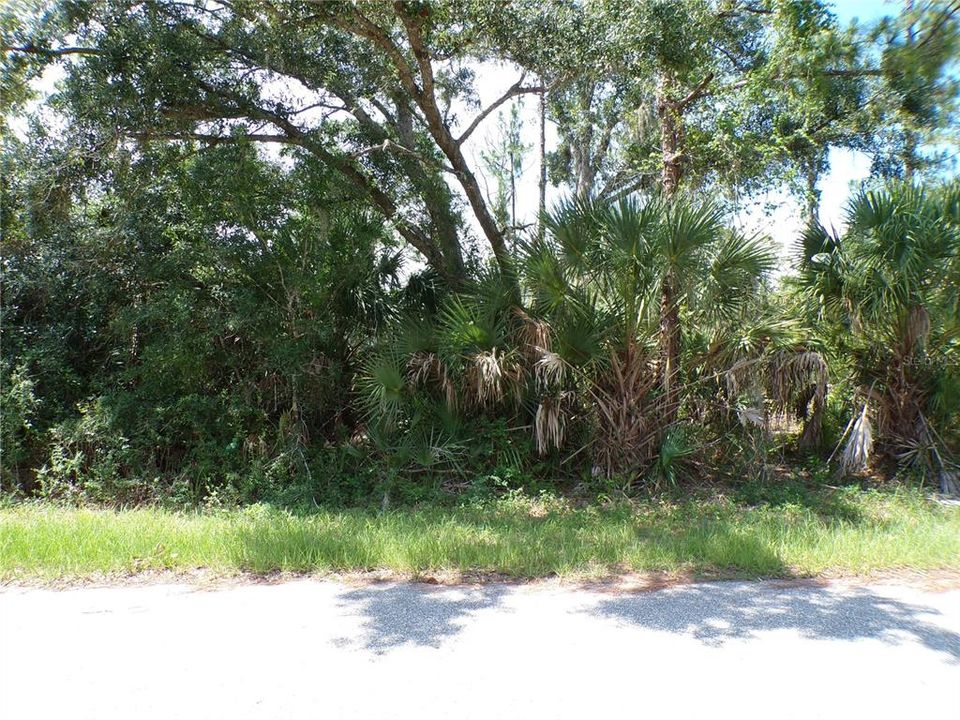 待售: $14,990 (0.23 acres)