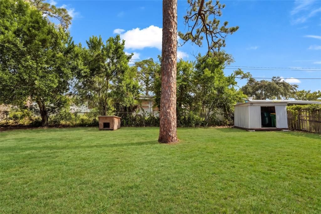 For Sale: $199,999 (3 beds, 2 baths, 1173 Square Feet)