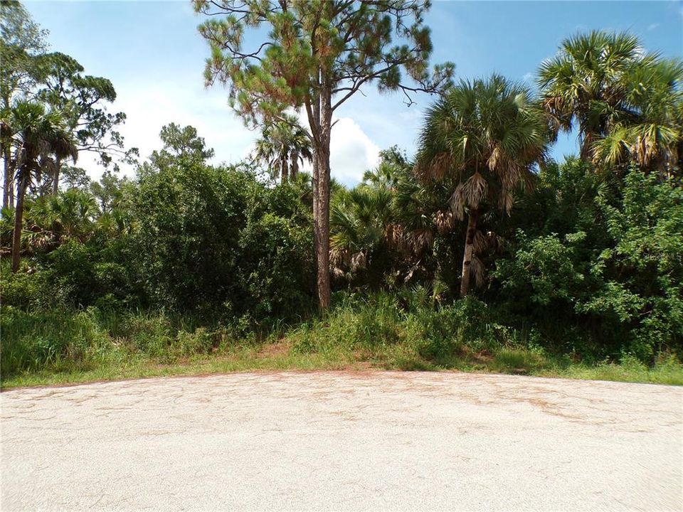 待售: $22,990 (0.22 acres)